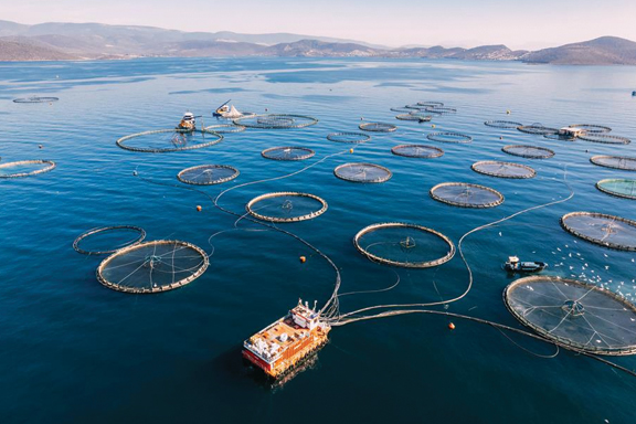 AQUACULTURE FINANCE